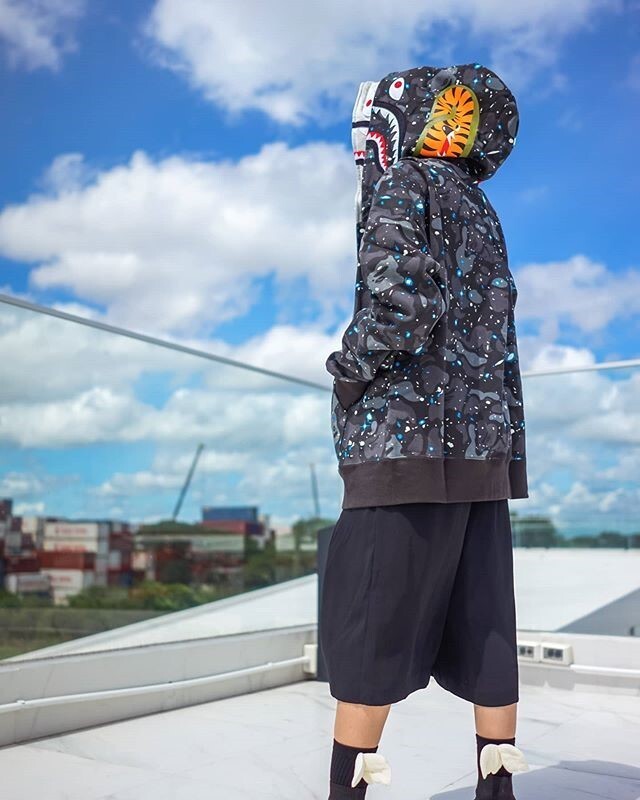 Bape shark doble
